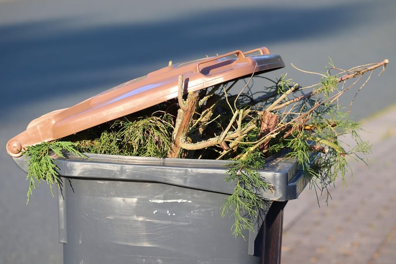 Food Waste Reduction